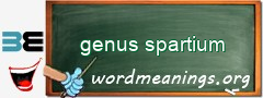 WordMeaning blackboard for genus spartium